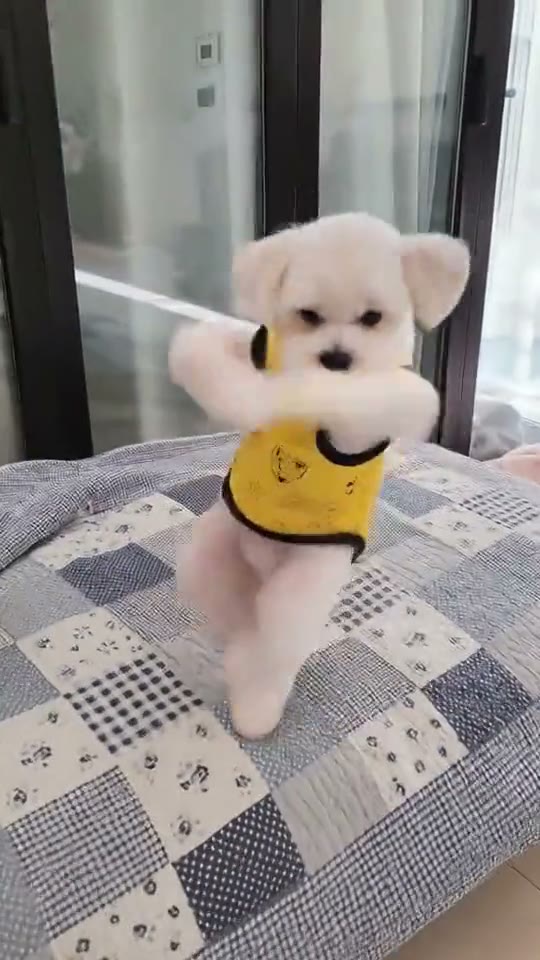 ATEEZ BAD Challenge AI: Do the BAD Dance From One Photo — AI meme template preview