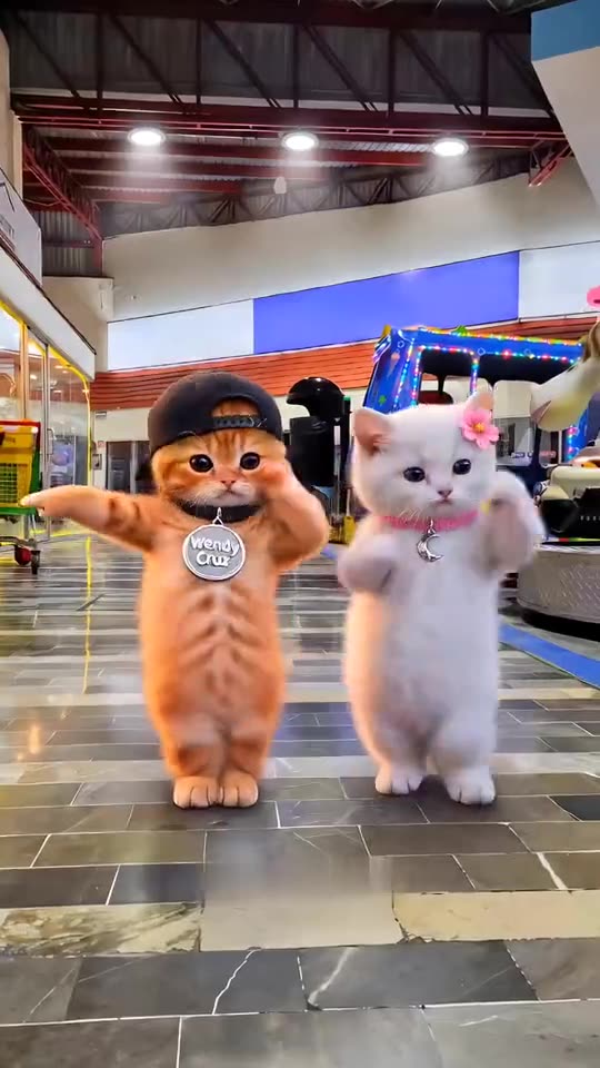 BbY WOW Dance AI Trend: Garage Dance, Quince Meme or Your Pet — AI meme template preview