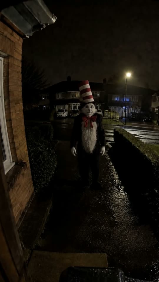 Cat in the Hat Trend: Make the AI Doorbell Cam Halloween Prank — AI meme template preview