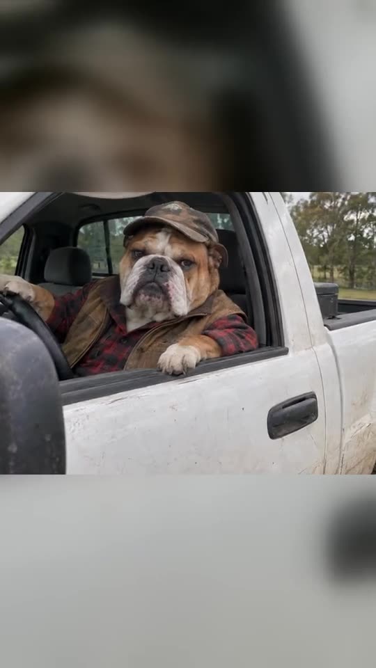 Hit the Road Dude: Be the Private Property Meme Driver — AI meme template preview