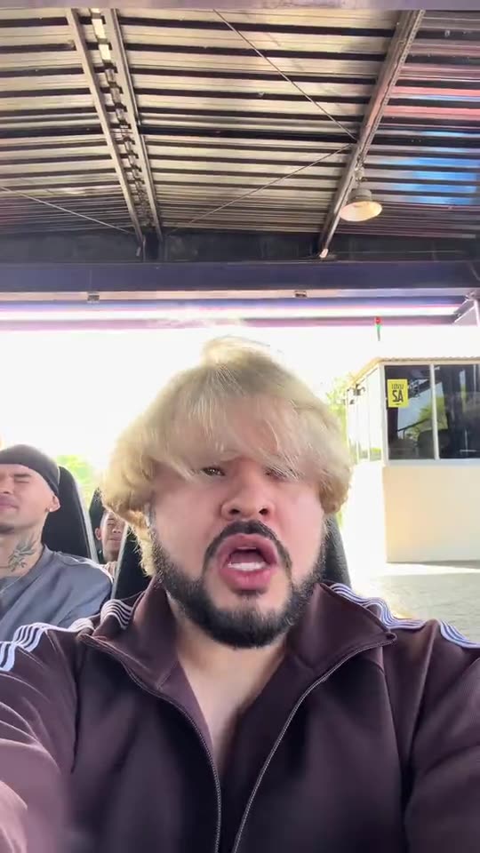 I'm With You Trend: Sing Avril Lavigne on the Roller Coaster — AI meme template preview