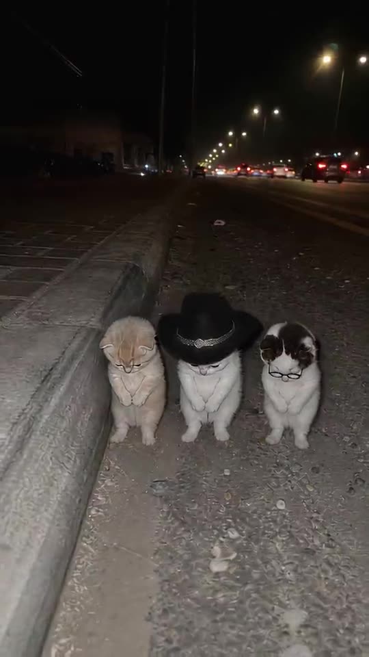 La Calabaza Dance: Your Pet Times Three, From One Photo — AI meme template preview