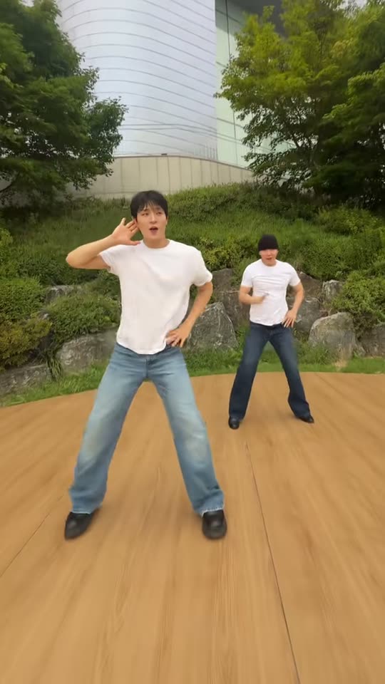 Love Options Dance: Do the 연애의 조건 Hand Gestures With AI — AI meme template preview