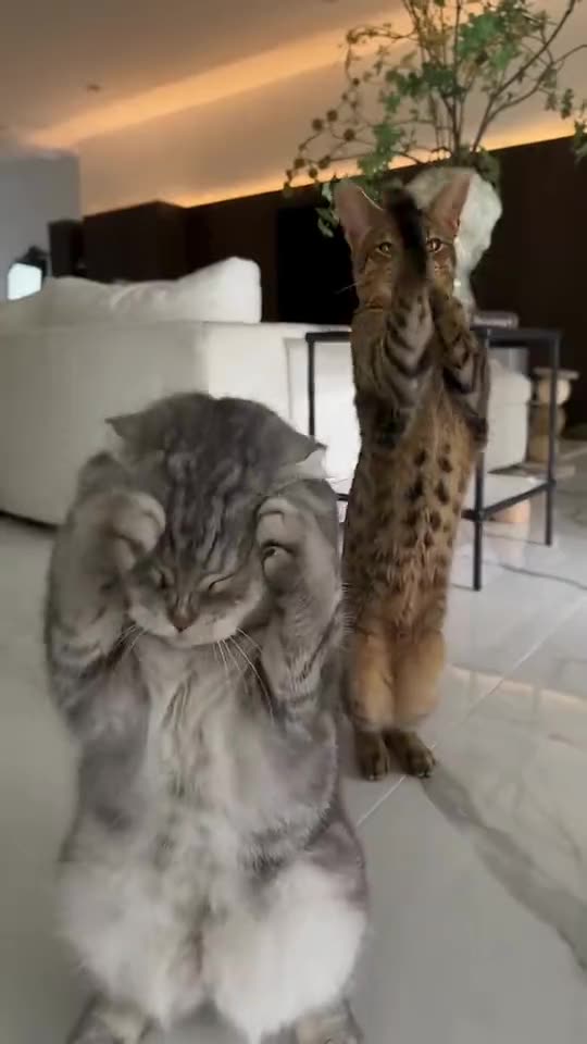 Smalltown Boy Dance Meme — AI meme template preview