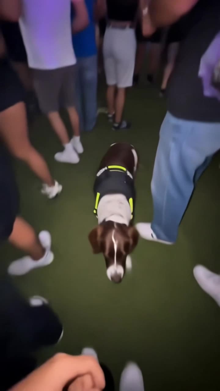Sniffer Dog Meme AI: Put Yourself in the Viral “Bro Is So Cooked” Clip — AI meme template preview