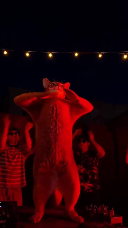 Tecktonik Dance AI — AI meme template preview